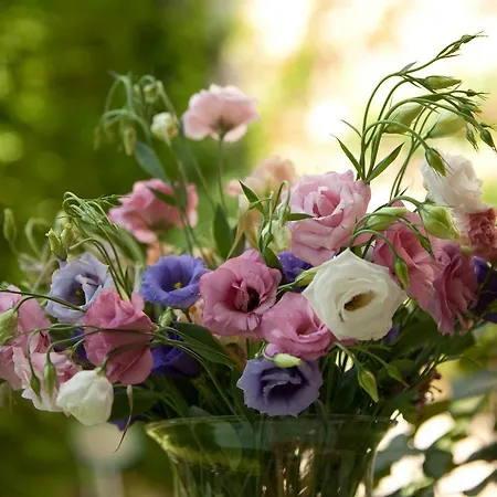 Maison De La Bourgade Uzès